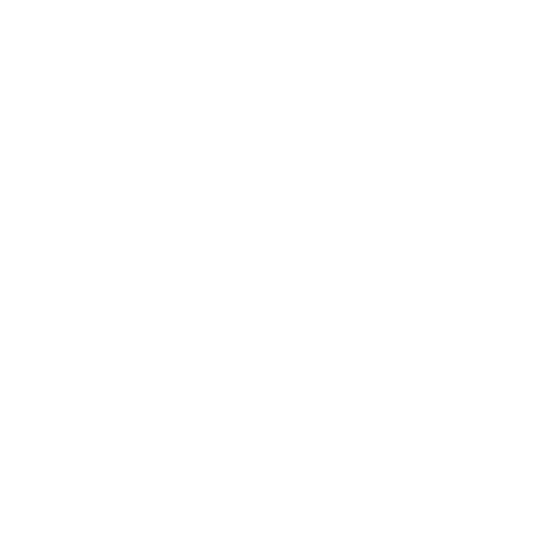 Platina Logo