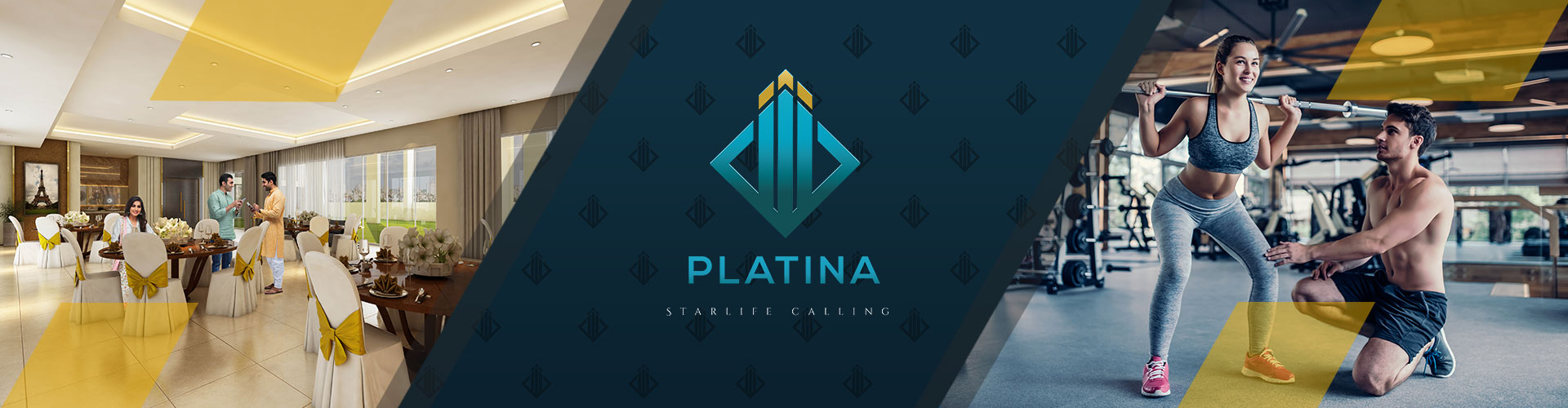 platina-project-banner